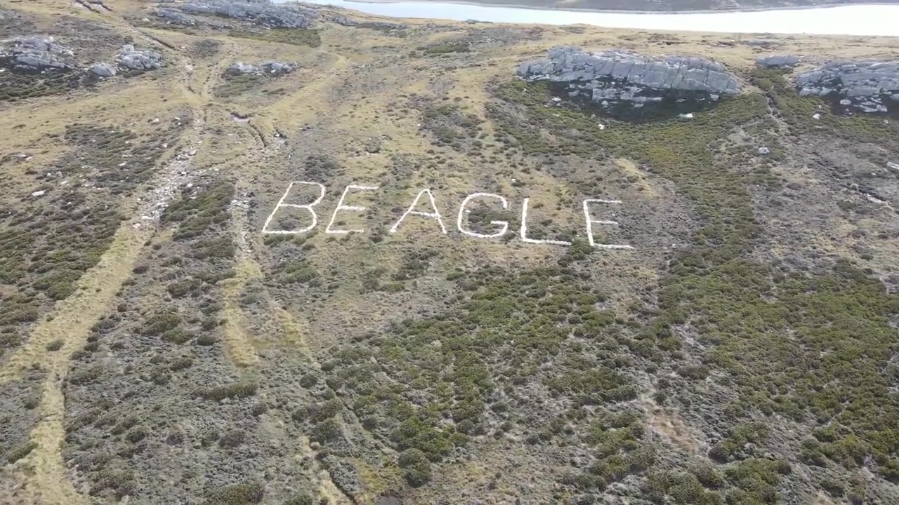 Drone optager en stor stenindskrift af en beagle på en græsklædt bjergskråning på Falklandsøerne, der viser barskt og naturligt terræn