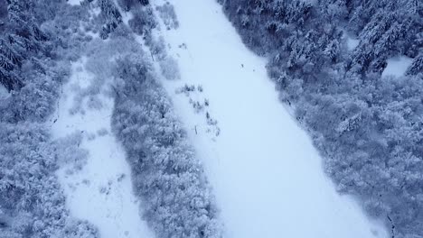 aerial tilt reveal view of the snow-capped valley of the lakes in hautes-vosges, france