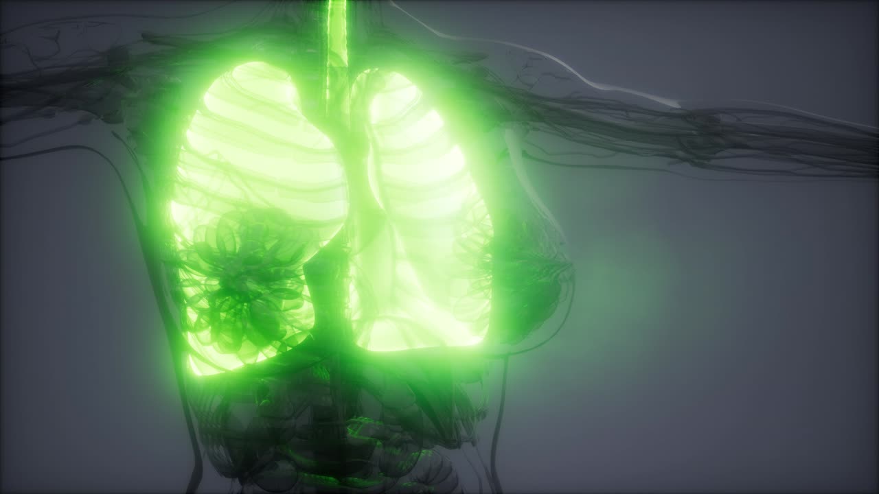 examen radiológico de los pulmones humanos