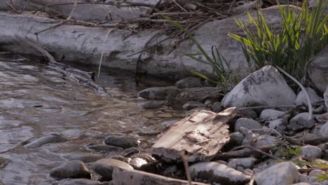 a man kneels down by a river bank and puts a message in a bottle into the water