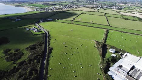 Drone-flight-over-Irish-coastline-fields,-while-cloud-shadows-cut-across-the-grass