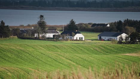 Farmhouses-and-barns-on-the-Danish-coastline-are-surrounded-by-lush-meadows