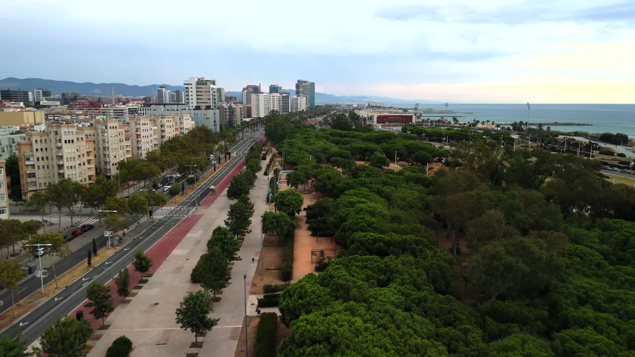 Ripresa aerea con drone che sorvola gli alberi sulla spiaggia di Barcellona.