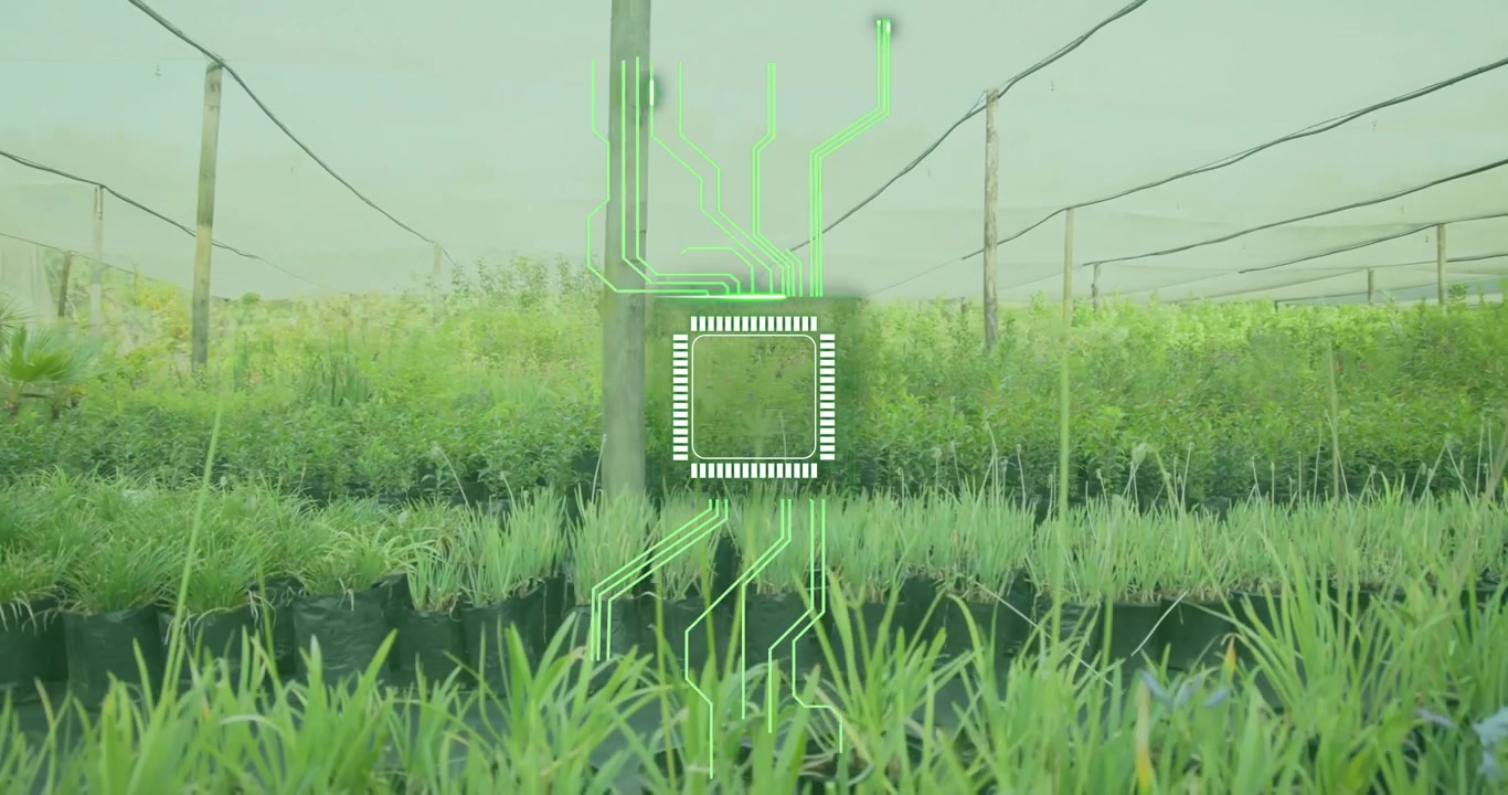 White reticle appearing, scanning neon circuits growing over saplings in black pots for monitoring