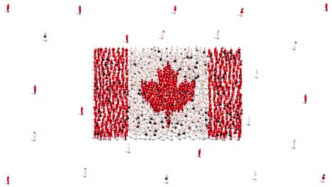bandera de canadá. un gran grupo de personas se forma para crear la forma de la bandera canadiense. video de animación 4k.