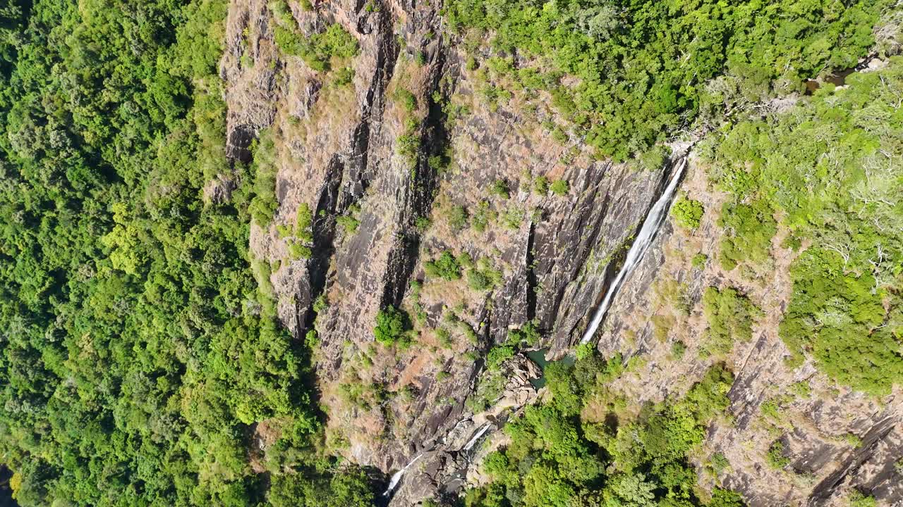 Drone footage captures a stunning aerial view of a dense forest and cascading waterfall in Port Douglas, Australia