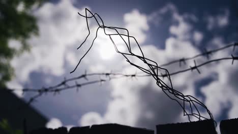 barbed wire overgrown with cobwebs against the background of the sky and the sun. oppressive atmosphere