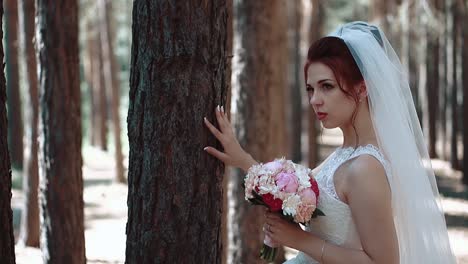 la novia se para cerca de un árbol en el bosque y sostiene su mano sobre la corteza