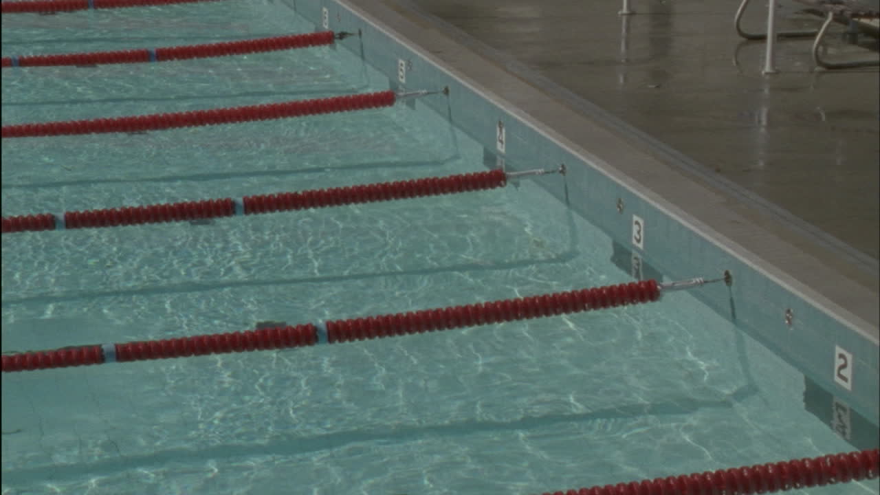 수영 선수는 경주 끝에 도달 한 사람이 손을 들고