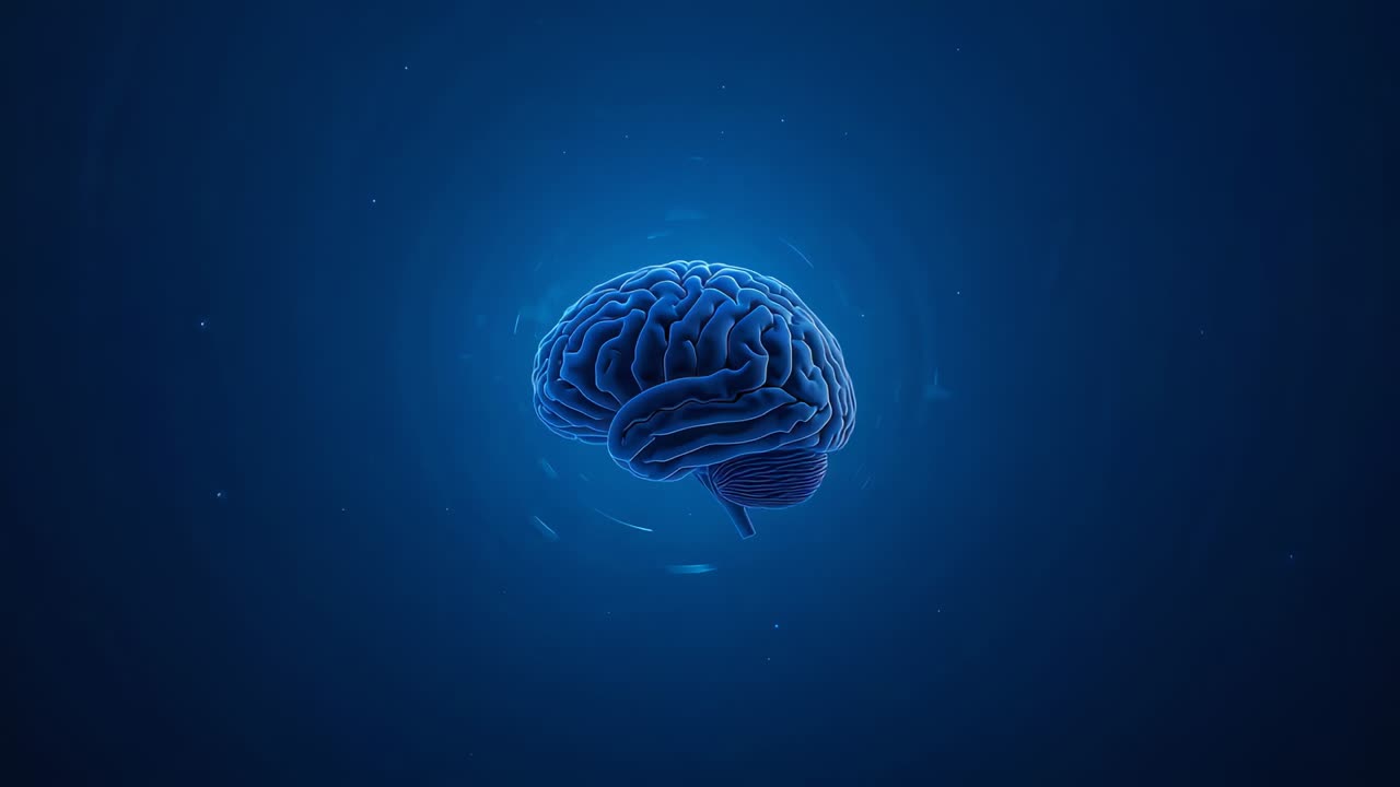 Rotating 3D brain model tilting in studio while particle entering left, halo pulsing, showing folds