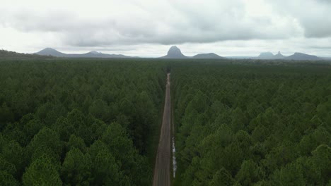 traveling down a dirt road through a pine forest that leads to the glass house mountains