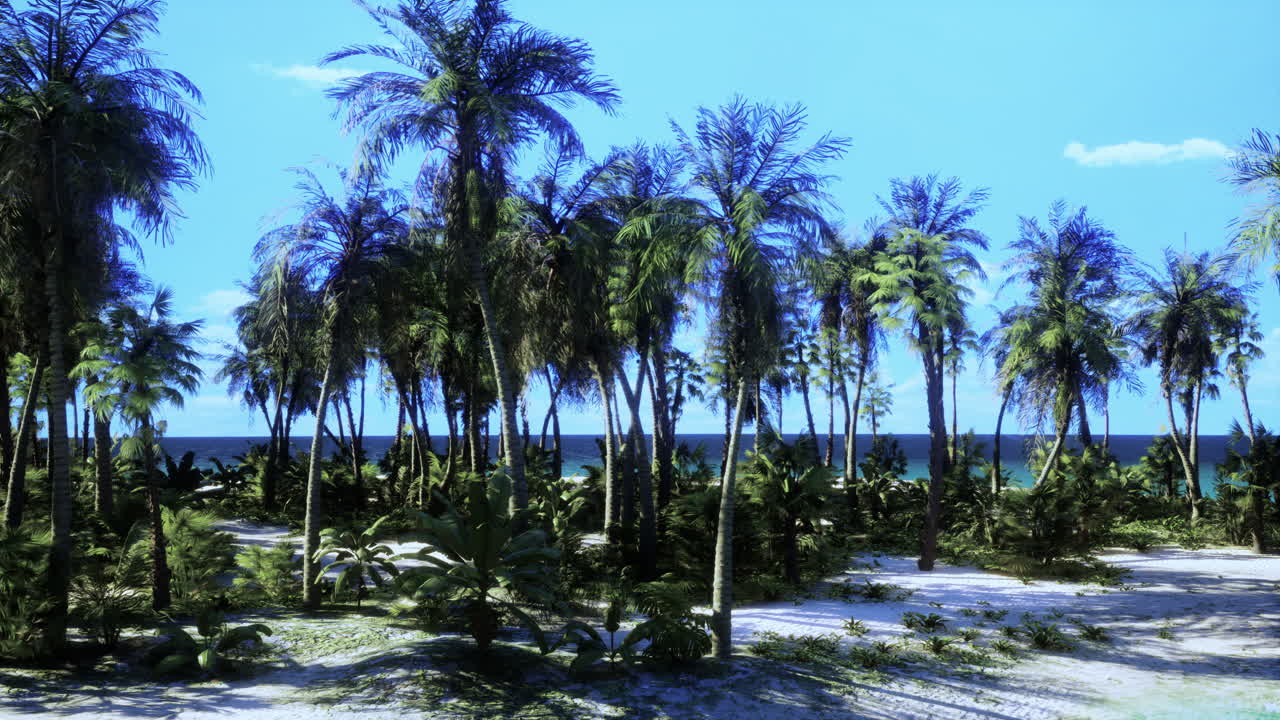 열 대 해변에 야자수