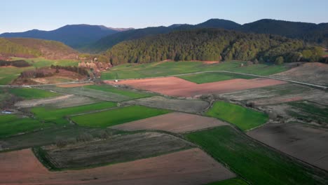 orbit drone video over potato farm fields sunset blue sky forest in distance