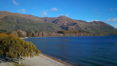 lake wanaka shoreline new zealand summer autumn fall aerial cinematic drone stunning blue sky beautiful morning afternoon cardrona queenstown south island slowly upward movement