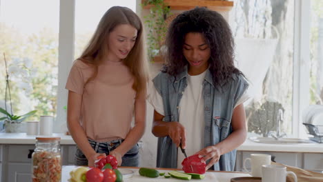 black girl and caucasian young woman cooking a vegan recipe by slicing red peppers. two female friends talk and laugh in the kitchen. medium shot.