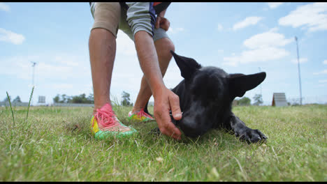 Trainer-Füttert-Seinen-Hund-Mit-Futter-4k