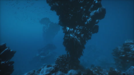exploring the serene underwater world filled with vibrant coral and marine life