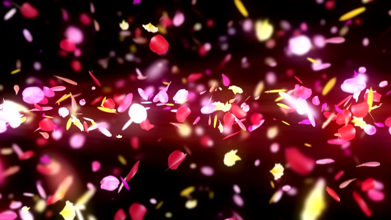 다채로운 꽃잎의 회전, cg 애니메이션, 입자, 루프