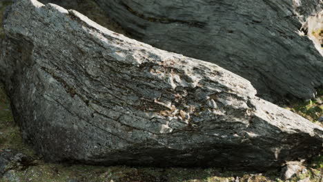 close up of rocky stones formation