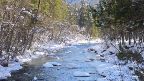 beautiful snow scene forest in winter.