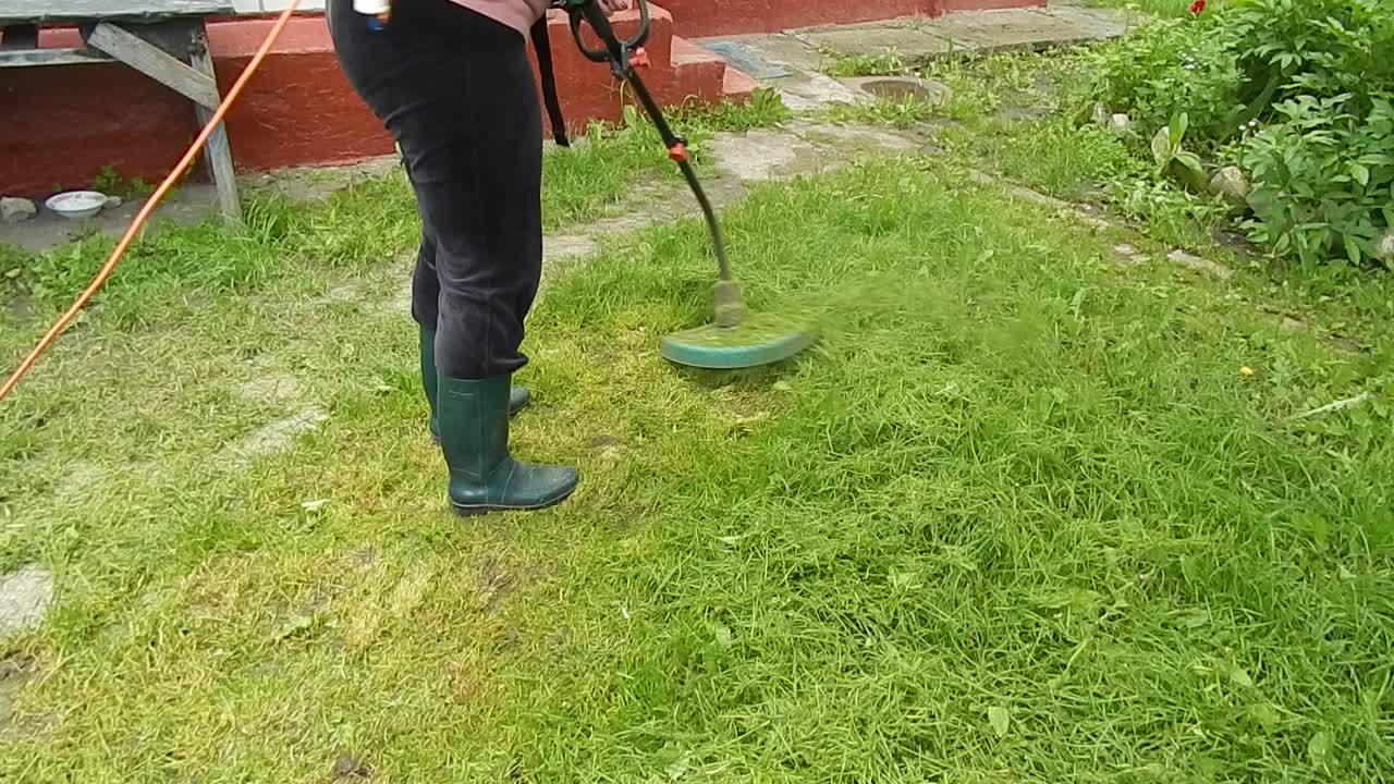 Flowers and landscaping garden design