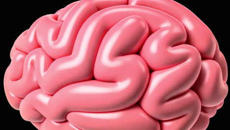 3d pink brain animated overlay, transparent 4K video, alpha channel, ProRes 4444