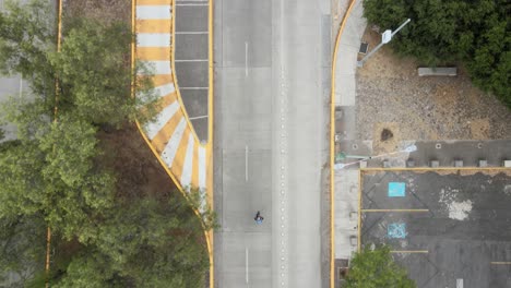 zenith view above trees in alone streets with only one man walking, in pandemic era