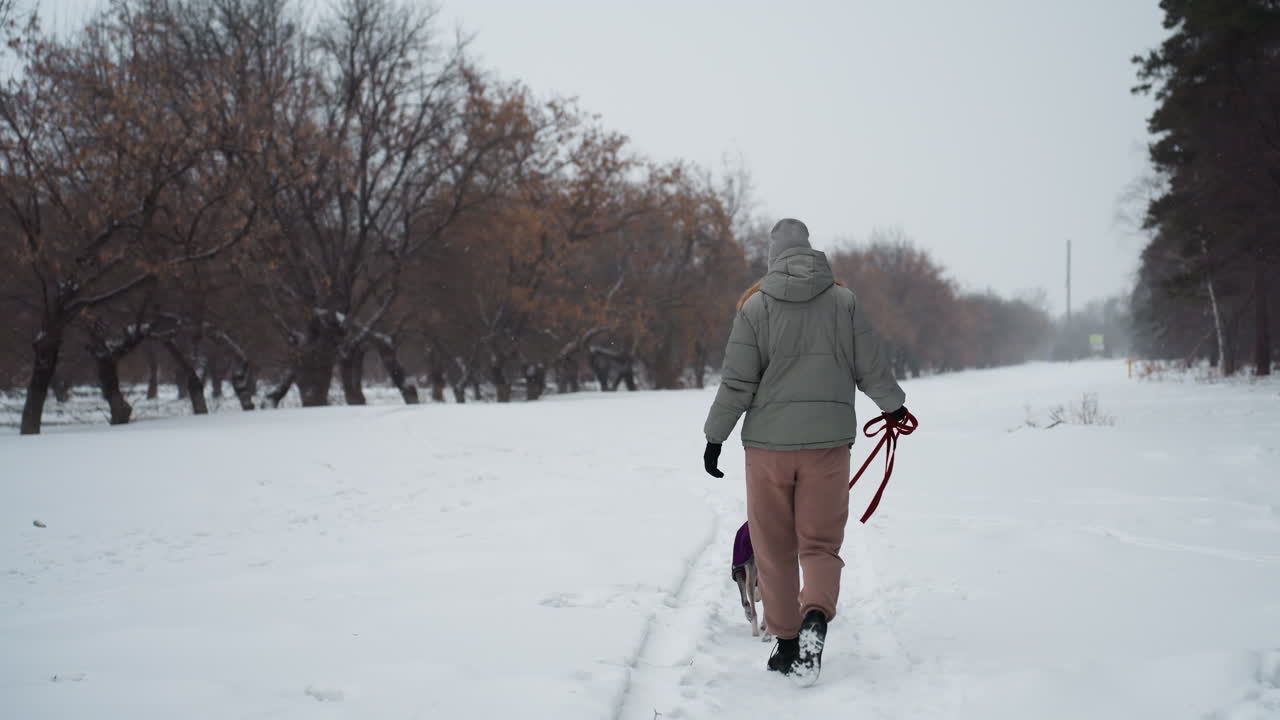 Woman dressed in warm jacket and winter hat walks alone on snowy path through quiet park lined with leafless trees, creating tranquil atmosphere of solitude, cold weather, and peaceful winter scene
