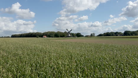 Niedrige-Antenne-über-Weizenfeld-In-Richtung-Entfernter-Windmühle