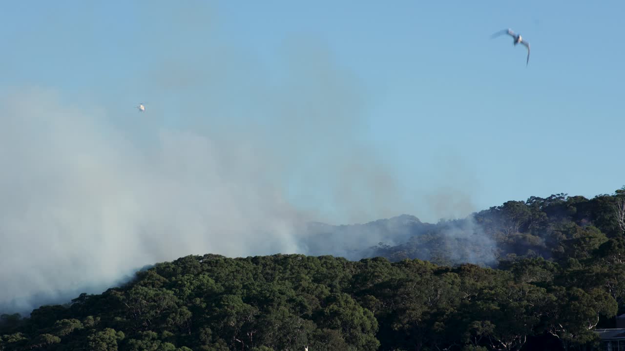 News Helicopter Above Smoke from Back burning fire El Nino 4K footage captures back burning, firefighting, smoke and helicopter rescues. May 29, 2023 Sydney Australia