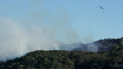 news helicopter above smoke from back burning fire el nino 4k footage captures back burning, firefighting, smoke and helicopter rescues. may 29, 2023 sydney australia