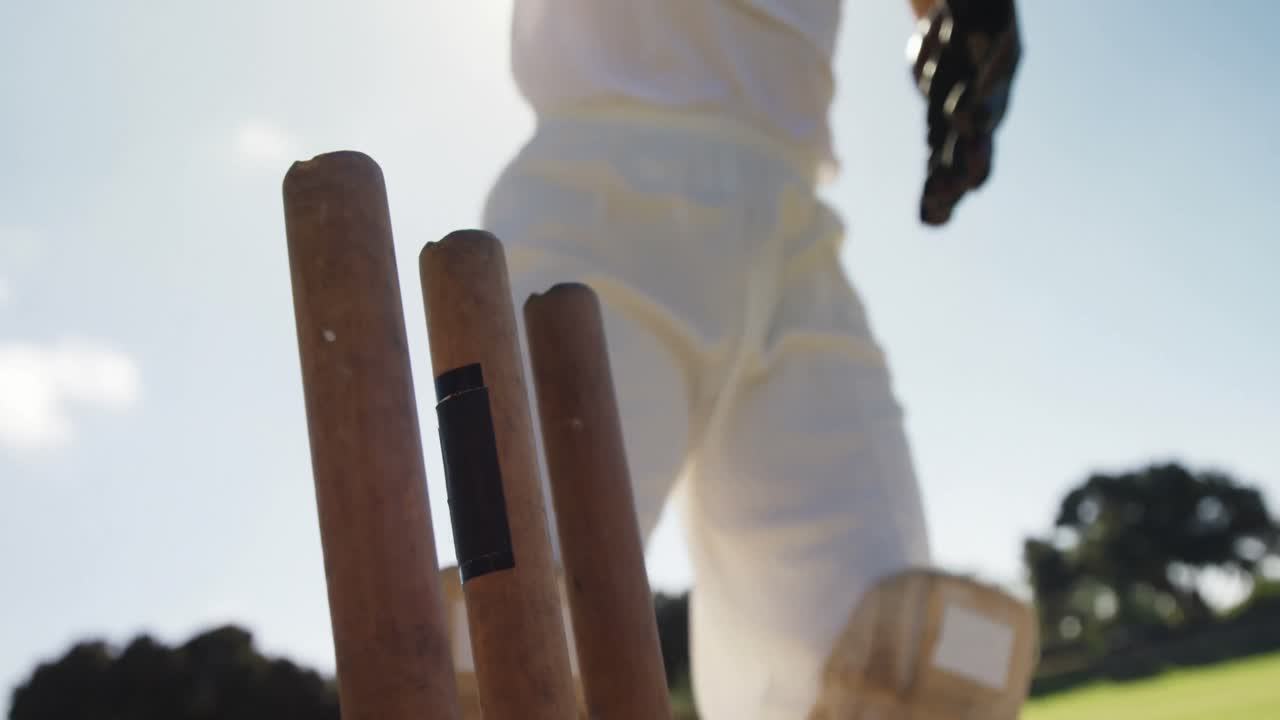 크리켓 경기장 에 있는 스 ⁇  뒤 에 크리켓 공 을 수집 하는 위트 키퍼