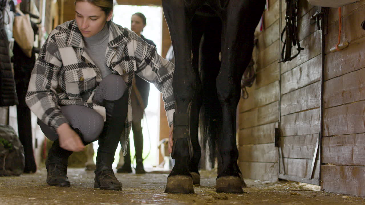 mujer joven preparando su caballo negro mientras su pareja espera detrás con caballo blanco