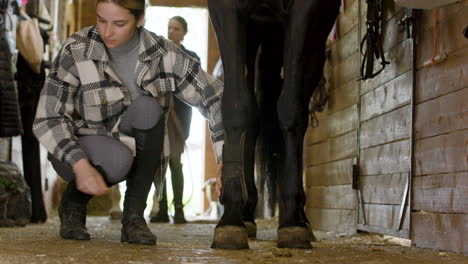 mujer joven preparando su caballo negro mientras su pareja espera detrás con caballo blanco