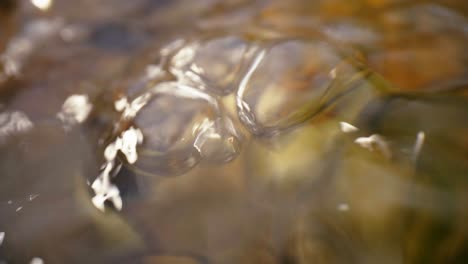 on the surface of the water, a macro plane of air bubbles, hypnotic and relaxing movements.