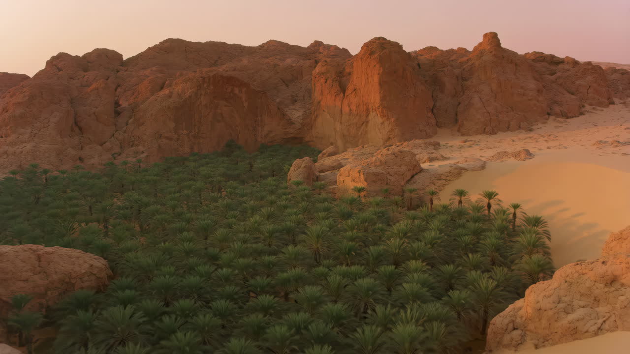 Oasi desertica panoramica con palme lussureggianti e formazioni rocciose