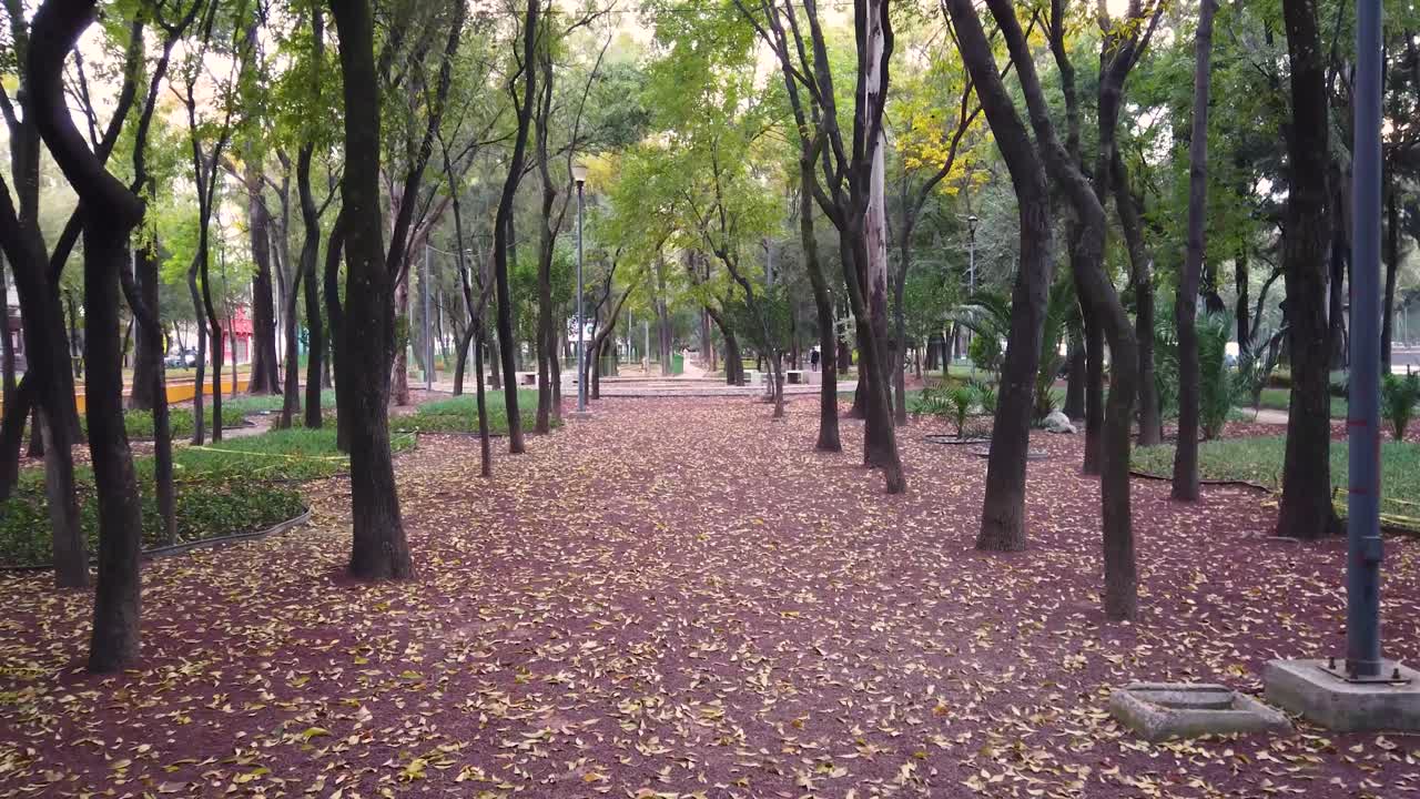 Video shot of a walk through a neighborhood park in the north of Mexico City on an autumn Saturday afternoon