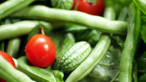 Shallow-focus-healthy-fresh-green-spinach-leaf-cucamelon-cherry-tomato-salad-bowl-closeup-top-down-left-dolly