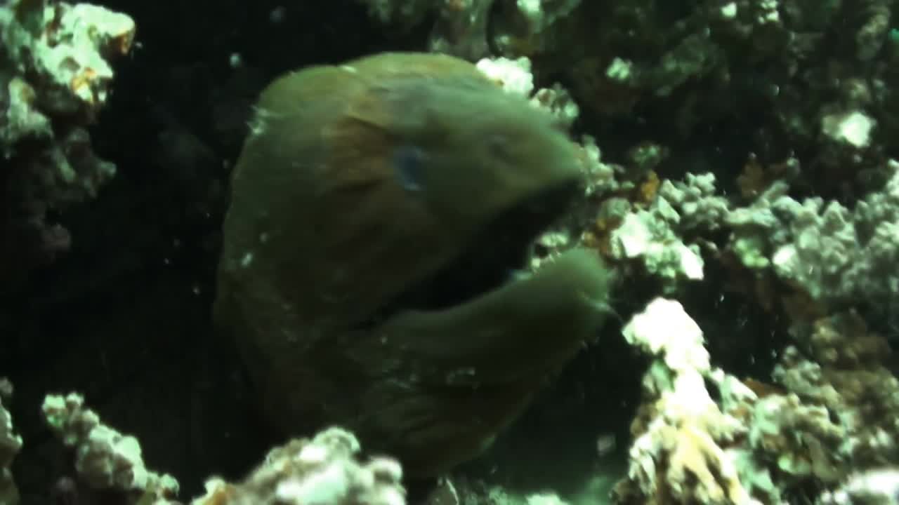 imágenes de las reservas de agua subterránea