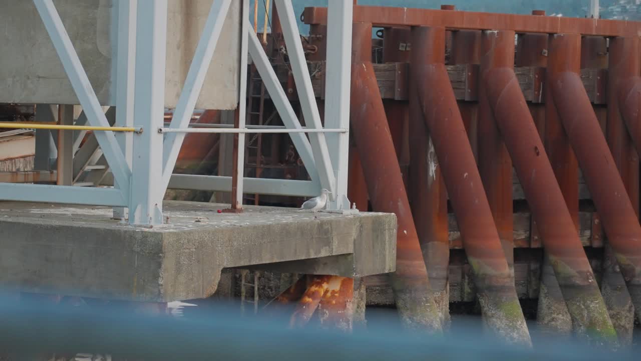 페리터미널 근접샷