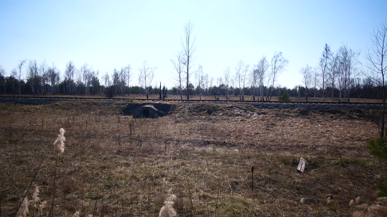 bosque rojo nuclear contaminado, pripyat chernobyl restringido