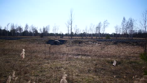 contaminated nuclear red forest,  pripyat chernobyl restricted