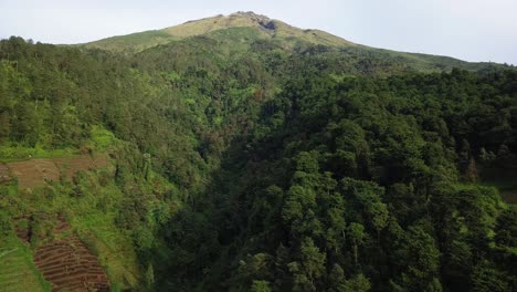 Drohnenaufnahmen-Hang-Eines-Tropischen-Berges,-Der-Von-Dichten-Waldbäumen-überwuchert-Ist---Sumbing-Mountain,-Indonesien