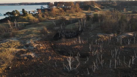 árboles muertos a lo largo de varias dunas de arena en muskegon