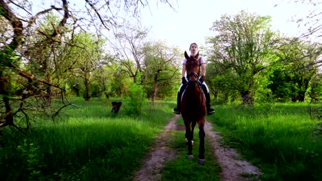 spring, outdoors, girl rider, jockey riding on thoroughbred beautiful brown stallion, through old blossoming apple orchard. horse running in blooming garden. stedicam shot