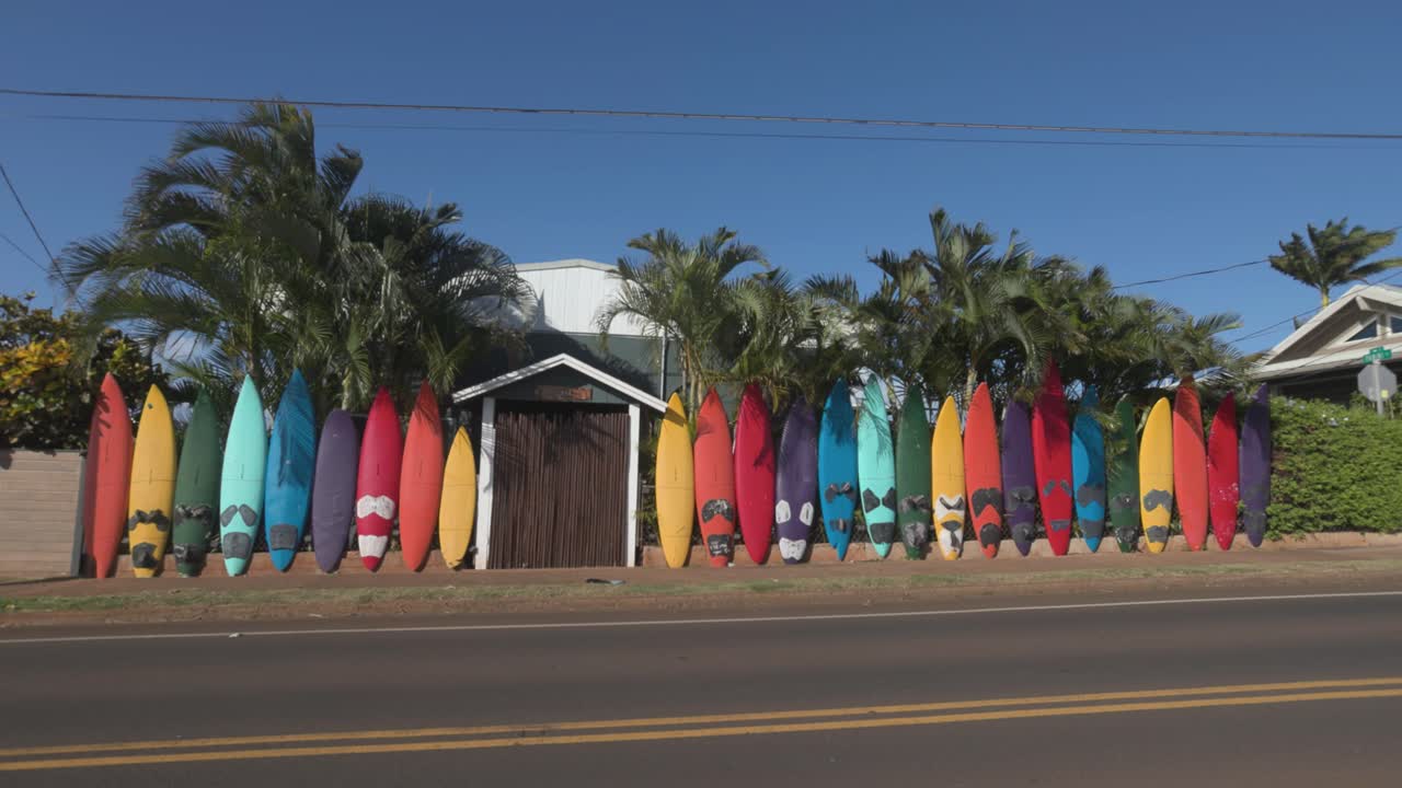 Colorful Surfboard Fence with Palm Trees
