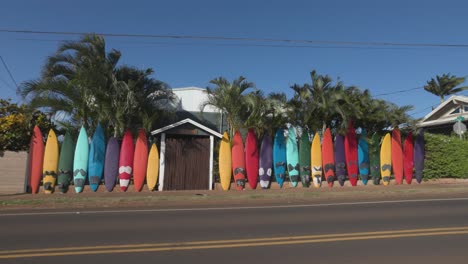 colorful surfboard fence with palm trees
