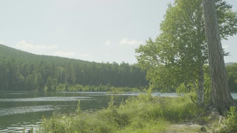 serene lakeside landscape