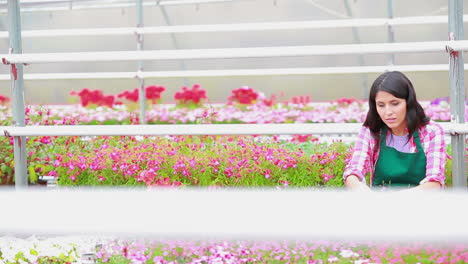 Assistant-standing-at-the-greenhouse-working-