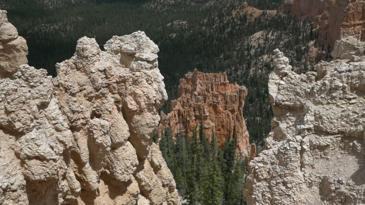 Heavily eroded stone formations and lush green forest valley, Bryce National Park, Utah, USA